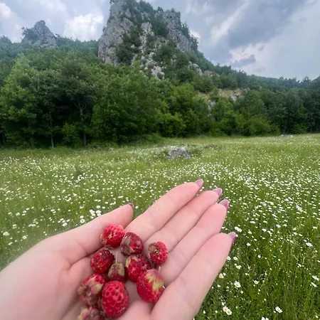 בית הארחה Konaku Kapedani