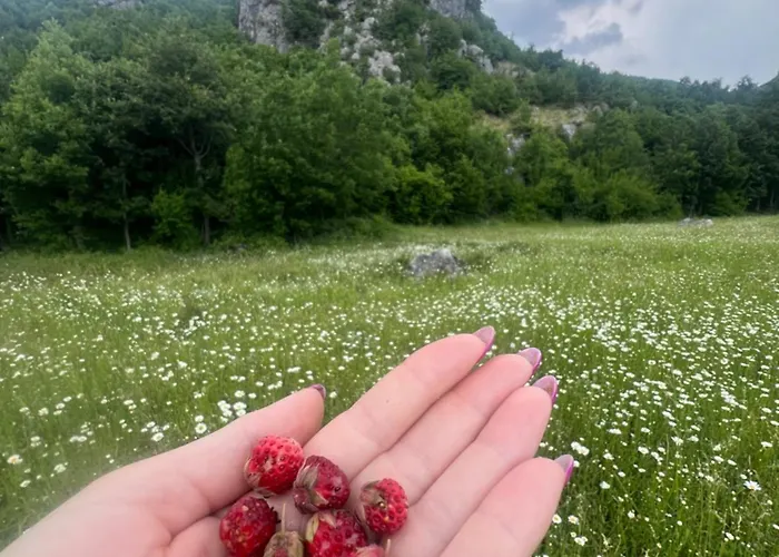 Pensjonat Konaku Kapedani